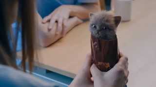 McVities Digestive Biscuits Advert - Kittens