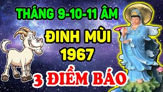 Tuổi Đinh Mùi 1967 Đúng Tháng 9-10-11 Âm, Vận Hạn Ra Sao ? BIẾT SỚM GIÀU SỚM Xem Ngay | TPTV