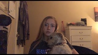 Proof that I need a boob reduction!! (w/ pictures) | Ashlee Pair