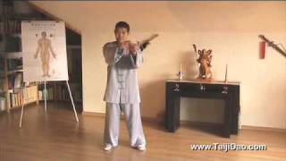 Meister Shen Xijing: Was ist Taijiquan? (Teil 1 - Grundlagen)