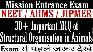 NEET/AIIMS 2019 Expected Biology Questions Important Questions of Structural Organisation in animals