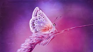 Detox Your Mind | 432Hz Music For Meditation | Miracle Healing Energy | Deep Healing Sounds