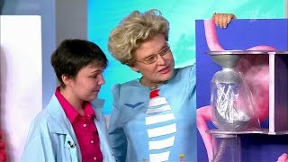 Жить здорово!Паразиты внутри нас. Аскариды. (23.05.2016)