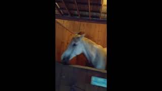 Suzette scratching Aleyah