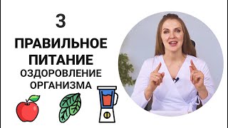 Правильное питание. Оздоровление организма