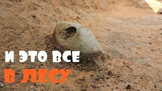 КОП В ЛЕСУ. ЛЕС ЭТО УДИВИТЕЛЬНОЕ МЕСТО. НЕ ЗНАЕШЬ ЧТО НАЙДЕШЬ, А ЧТО ПОТЕРЯЕШЬ.