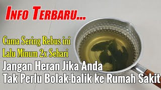 LUAR BIASA... SETELAH NONTON VIDEO INI, ANDA AKAN KAGET DAN AKAN MENCARI TANAMAN INI SAMPAI DAPAT
