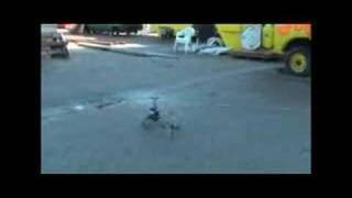 T-REX 600 E fly by wire