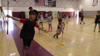 USA Hockey American Development Model 2