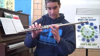Go Tell Aunt Rhody - Flute