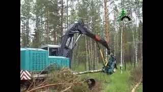 Валочно пакетирующая машина ЛП-19 Б2 с харвестерной головкой МЛ-145