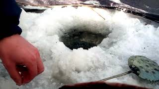 Рыбачим с михалычем сурское водохранилище 1 декабря 2018 бешеный клев леща