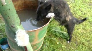 Видео ТЕСТ Nokia C5-00.2