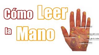COMO LEER LA MANO: Las Líneas y su Significado, Quiromancia