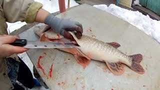 ШОК! В желудке у щуки..., судака.. В ЭТО СЛОЖНО ПОВЕРИТЬ! Такого я не ожидал!!!