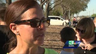 Sea Lion evades rescue in Vacaville canal