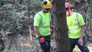 Humber College - Arborist Apprenticeship