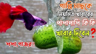গাপ্পি মাছকে নিয়মিত খাবারের পাশাপাশী কোন কোন খাবার দিবেন?