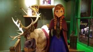 Karlar Ülkesi Frozen Oyuncakları, Disney Store #2