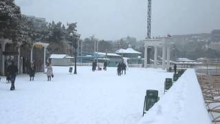 В Алуште (Крым) 26 января 2016 выпал снег