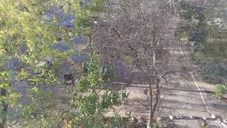 ЗАПОРОЖЬЕ НЕ ОСТАНОВИТЬ НИ КАК 28.10.23