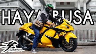 nyobain moge HAYABUSA