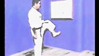 Ката Гекисай-дай-ити. Часть-1
