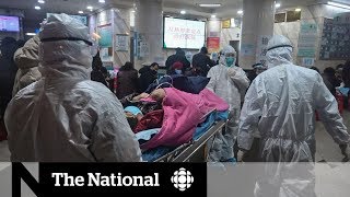 Coronavirus in China: The fight against the outbreak