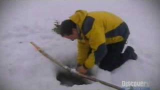 man vs wild bear grylls eats a fish