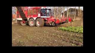 Vervaet Beet Eater - Westager-Nørager Landbrug