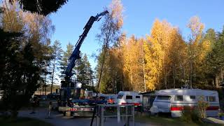 Kai Junttila ongelmapuun poisto 2