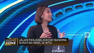 Jalan Panjang Jokowi Banding Gugatan Nikel di WTO, Bisa Menang?
