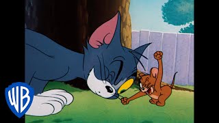 Tom et Jerry en Français | Classiques du dessin animé 117