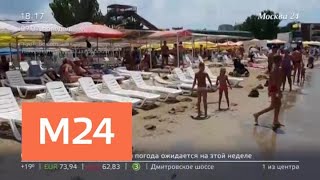 На пляжах Анапы запретили купание из-за холодной воды в море - Москва 24