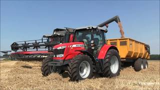 Massey Ferguson maaidor-ser Beta 7370. 360 PK Sky-line cabine.