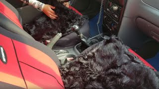 Накидки из искусственного меха на сидения в авто