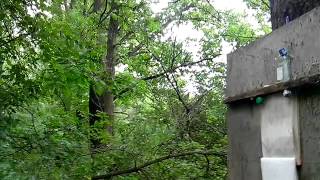 Hatsan 125 Детский калибр, детский цвет