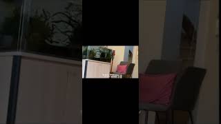 地震が起きた時のカワウソと猫の反応が違いすぎた otter and the cat reacted too differently when the earthquake hit. #shorts