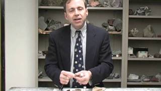Planet Earth-Lab 9-Paleozoic Fossils
