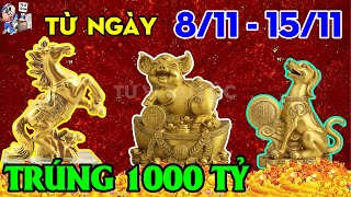 NGHÈO THẾ ĐỦ RỒI 3 TUỔI NÀY TỪ NGÀY 8/11 - 15/11 TRÚNG QUẢ 1000 TỶ, TIỀN VỀ TỚI TẤP | TỬ VI TÀI LỘC