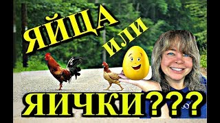 (1508) ОБСУЖДАЕМ НАБОЛЕВШЕЕ И НАКИПЕВШЕЕ В ПРЯМОМ ЭФИРЕ