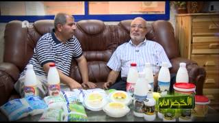 الجزائر : الأخضر الدائم، تربية الأبقار و المعز و إنتاج الحليب في غرداية