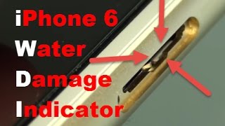 Check If iPhone 6 is Water Damaged With Visual Inspection (Close Up)