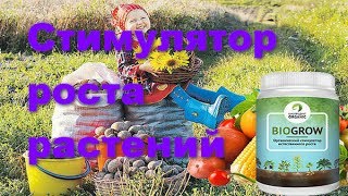 BioGrow – биоактиватор роста растений, купить активатор роста растений, регулятор и стимулятор роста