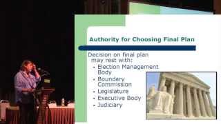 International Best Practices on Constituency Delimitation