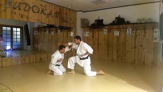 Idori Kumite Wado ryu