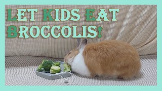 When kids refuse the BROCCOLIS, show this video / ASMR / MUKBANG / Eating Sounds
