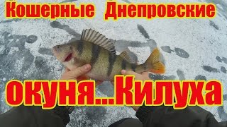 ЛОВЛЯ ОГРОМНЫХ ОКУНЕЙ\НА ДНЕПРЕ\НА БАЛАНСИР\НА БОМБУ.