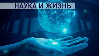 Контуры. Наука и жизнь