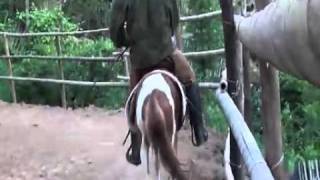 guy are riding and whipping poor pony